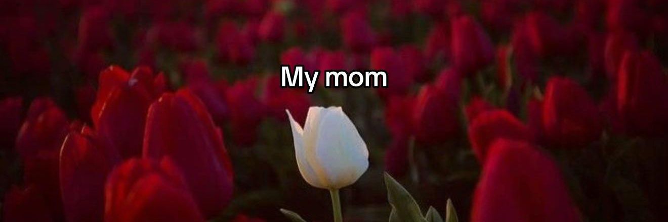 DearGracie 🎀💞 banner