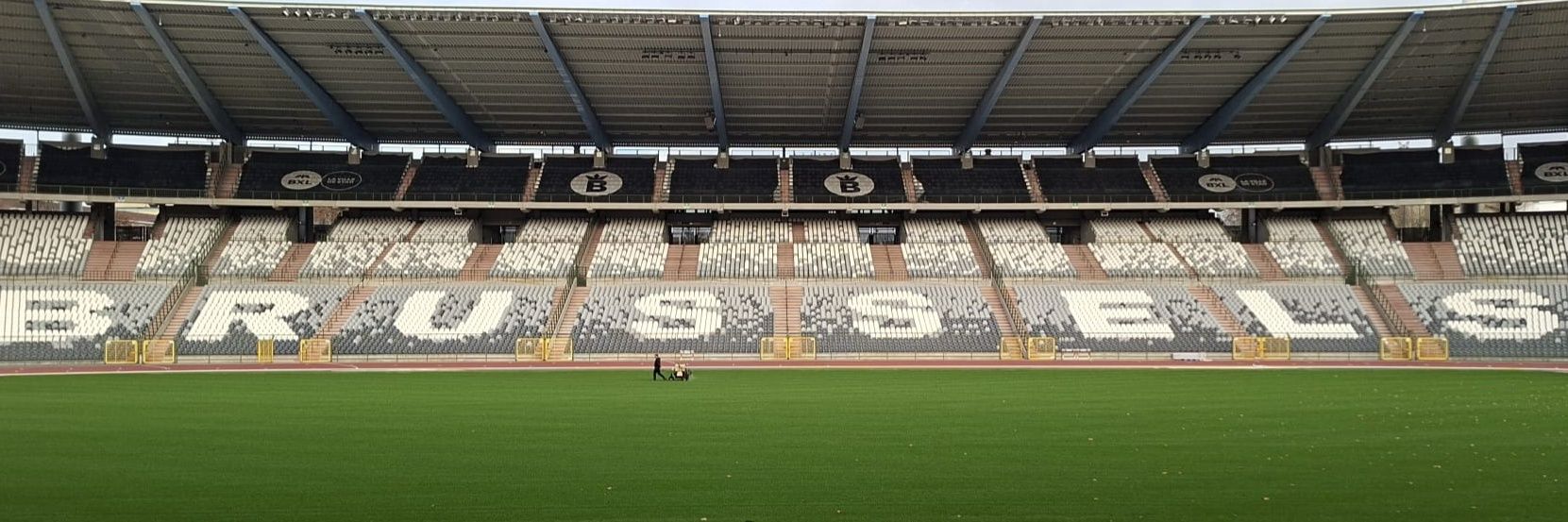 Pat.Terne🇧🇪 banner