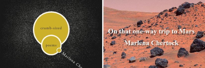 Marlena Chertock (she/her) banner