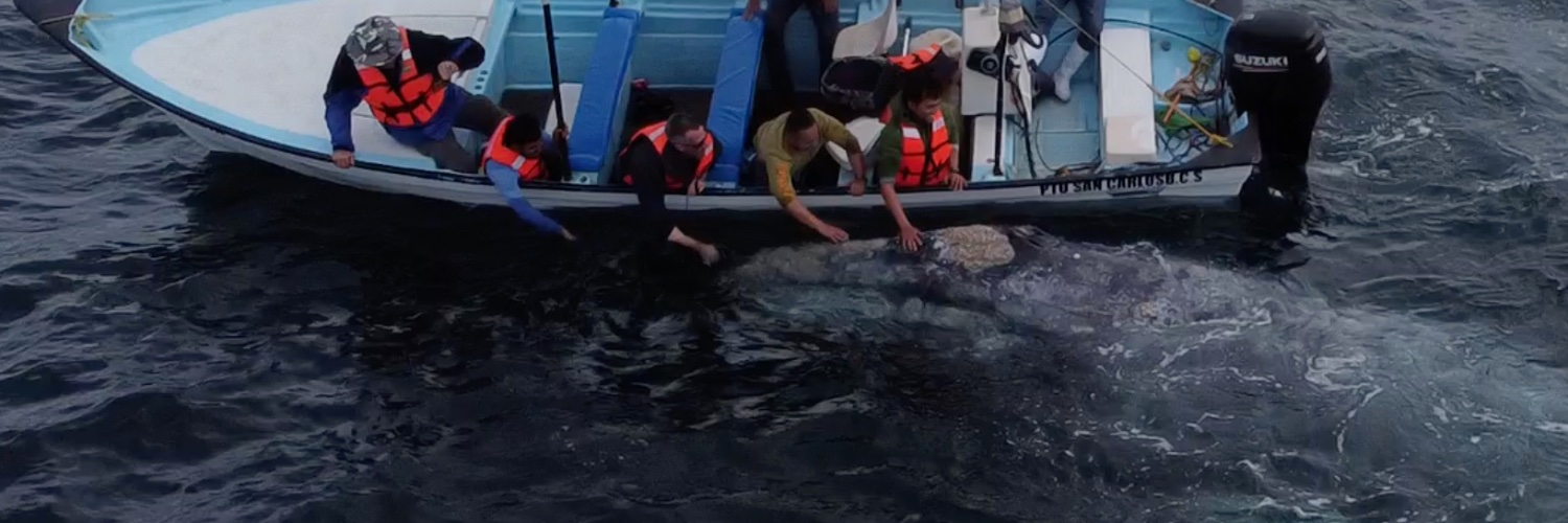 Weekend Explorer® banner