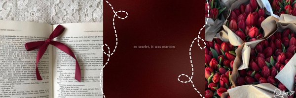 redwinets Profile Banner
