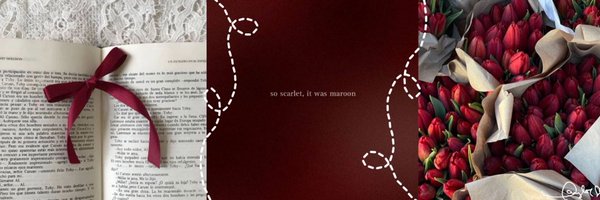 redwinets Profile Banner