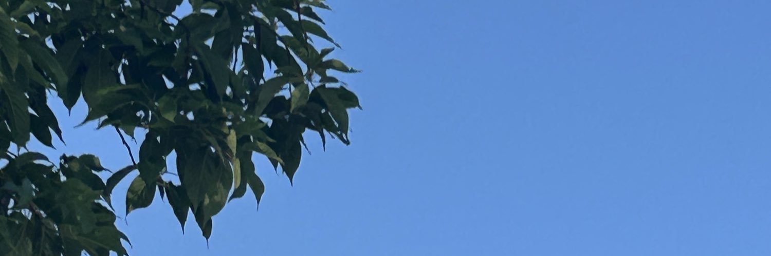 DerHerrSir's profile banner image