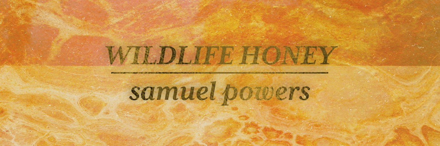 SamPowMusic's profile banner image