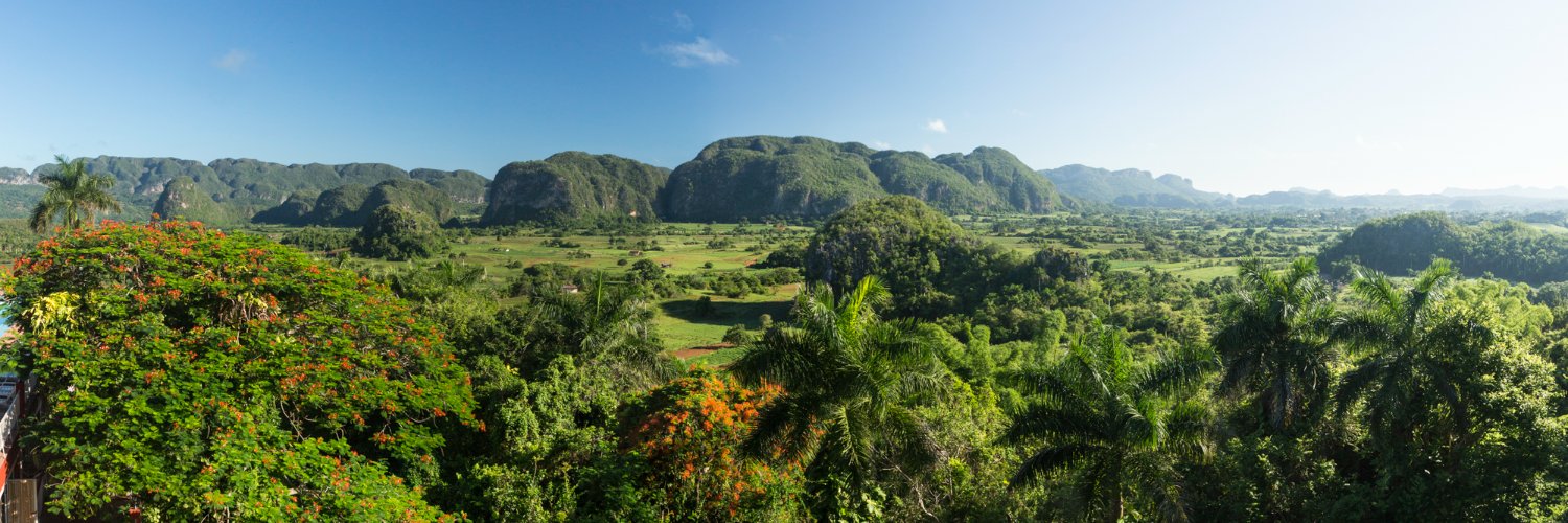 Eumelin González Sánchez banner