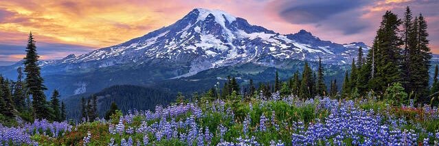 Loganpnw's profile banner image