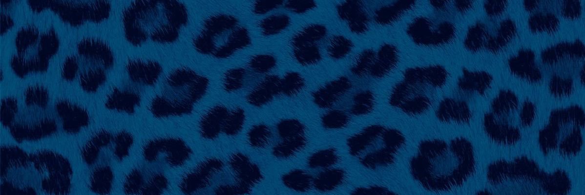 chelsrichelle's profile banner image