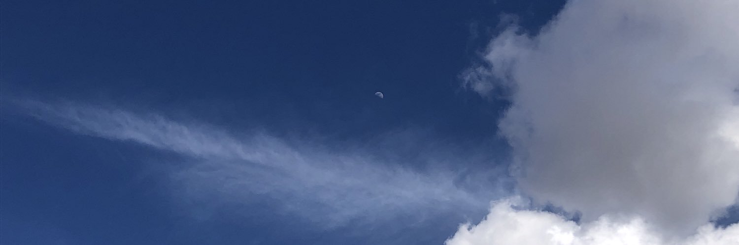 springy15's profile banner image