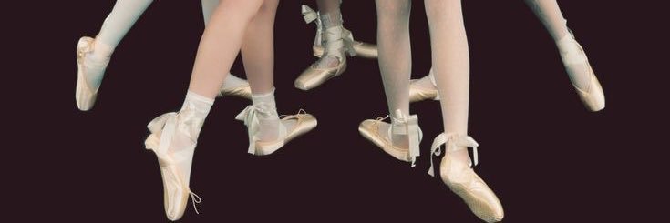 ♱ 𝐇𝐚𝐥𝐞𝐲 ❧'s banner