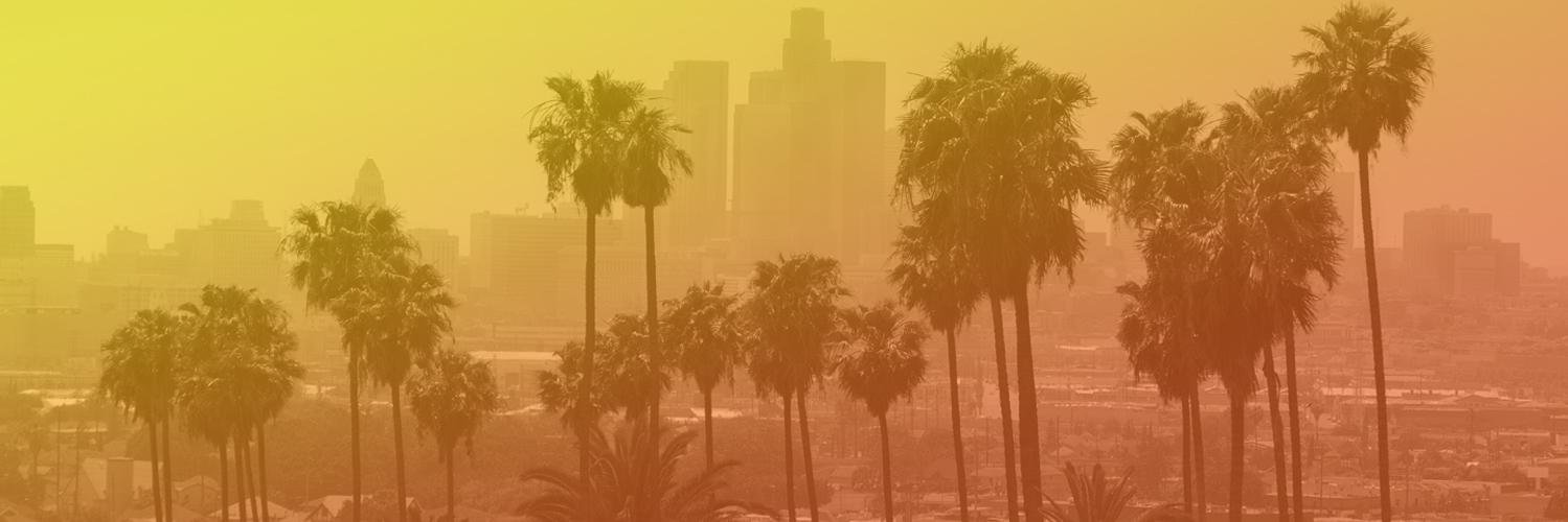 Syndctd's profile banner image