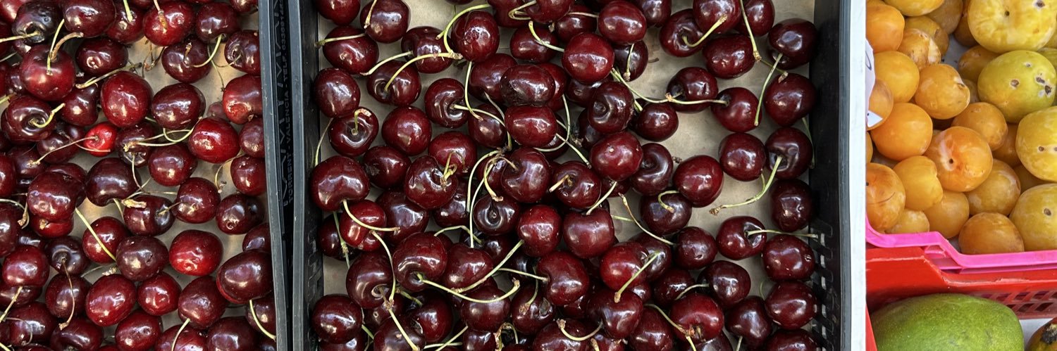 claudia roussel banner