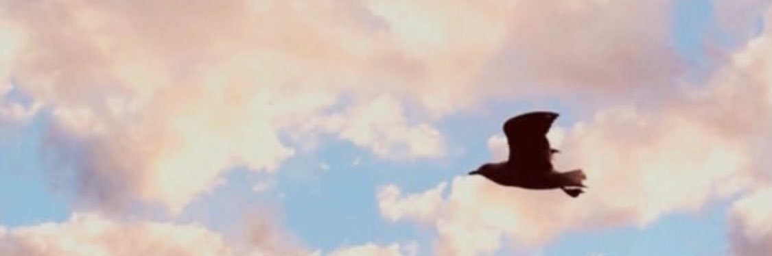 chaaama_24's profile banner image