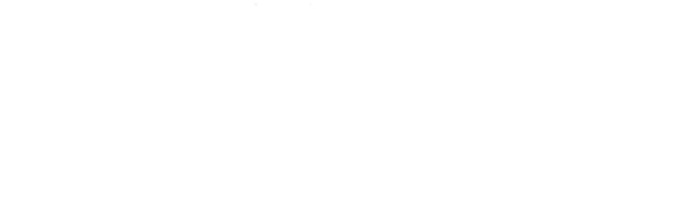 Neda 🐈‍⬛ ندا's banner