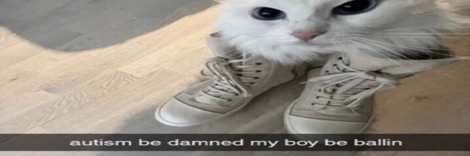 🕯️schizocat 🕯️'s banner