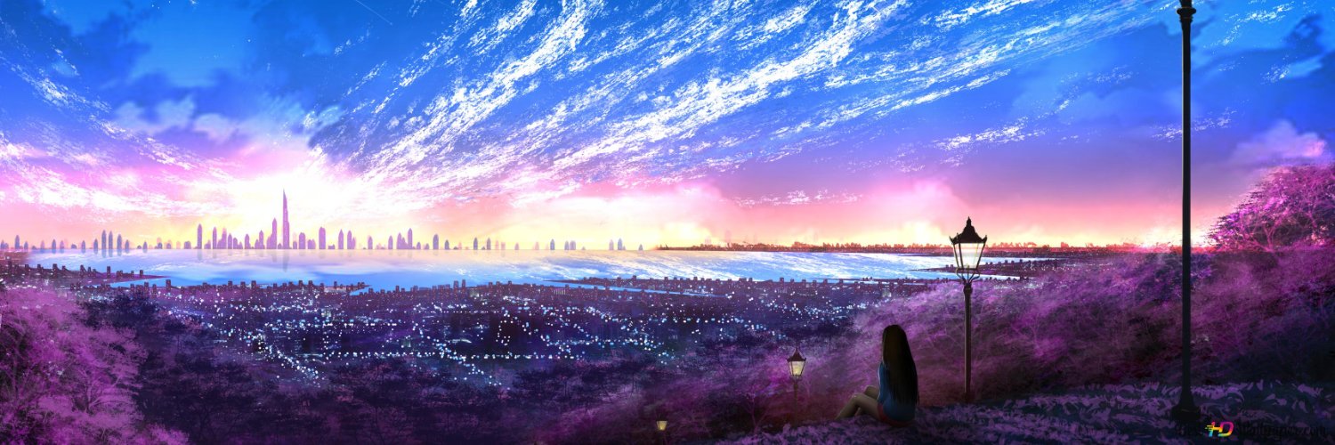 SurfinDanny banner