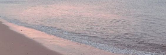 CSentous's profile banner image