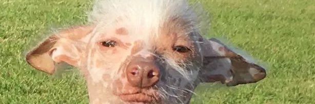 VictorChav17's profile banner image