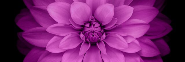 caraaking's profile banner image