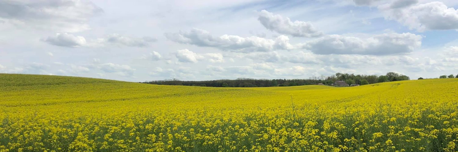 Andre Zayarni banner