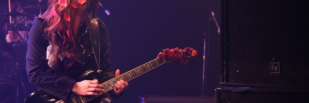 SHOGO🦋ROSE KINGDOM banner