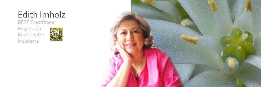 FloresdeBachCol's profile banner image
