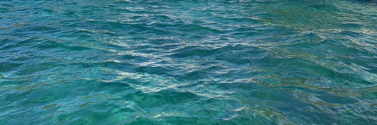 Shoaaa_'s profile banner image