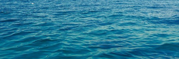 Bluemeri78 Profile Banner