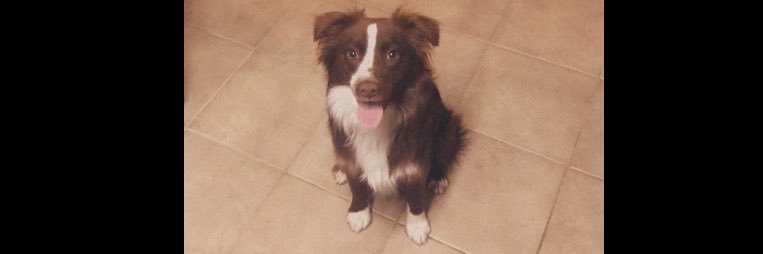 baileyysamperr's profile banner image