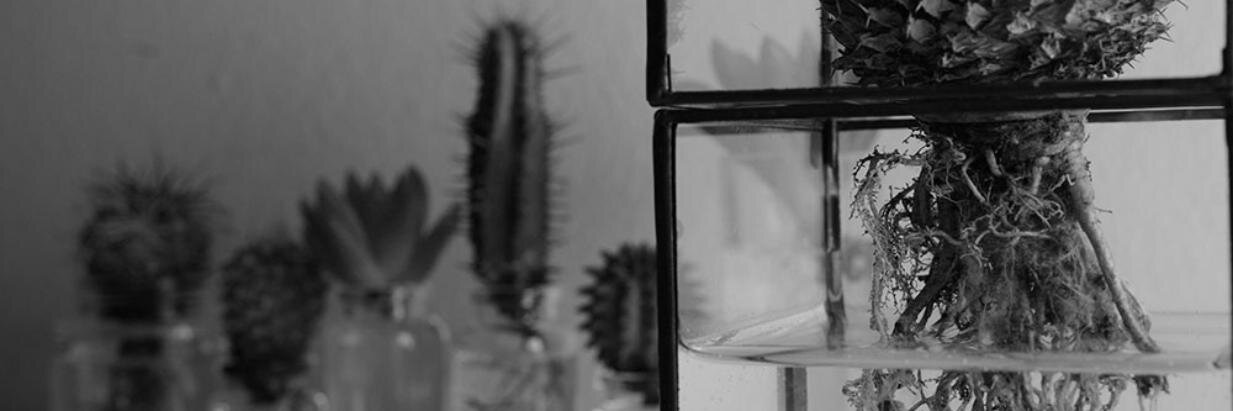jittodesign's profile banner image