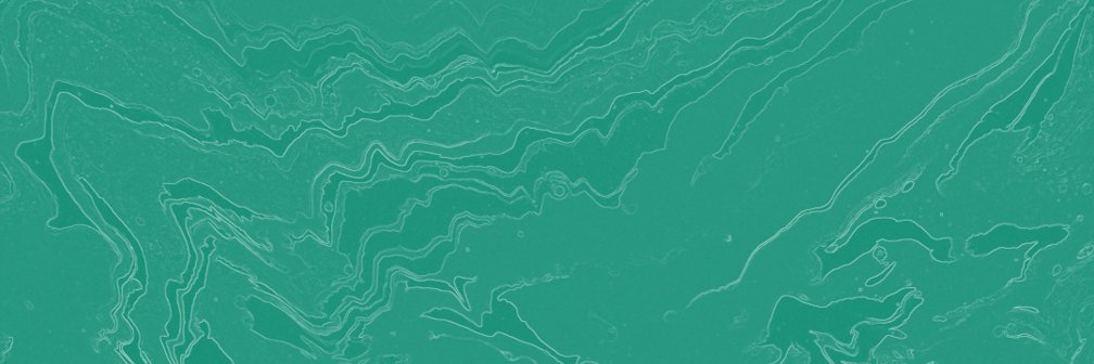 Digital Insighters banner