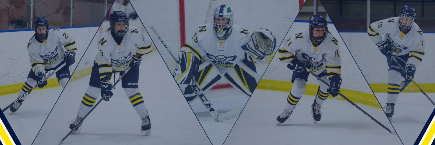 NAIT Women's Hockey banner