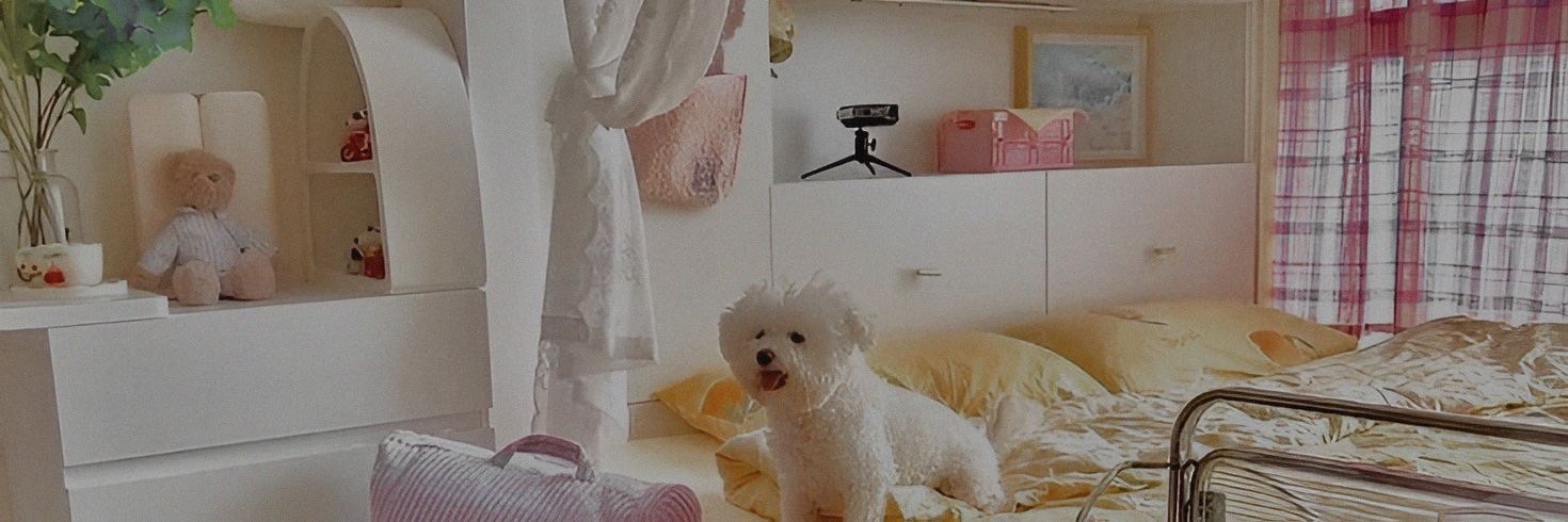 jixel. banner