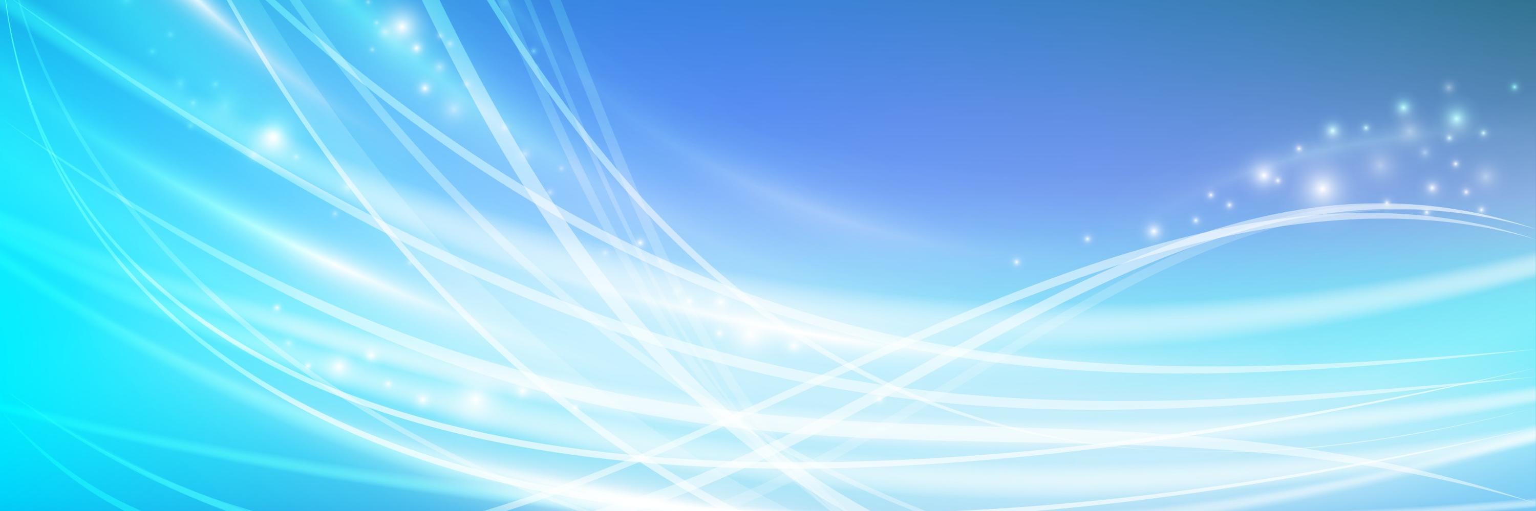 Sandy Fowler banner