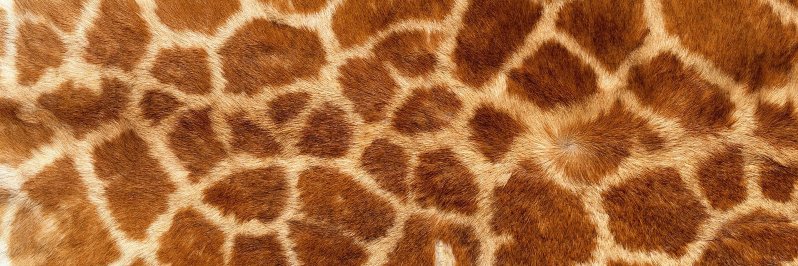 clurmorris's profile banner image