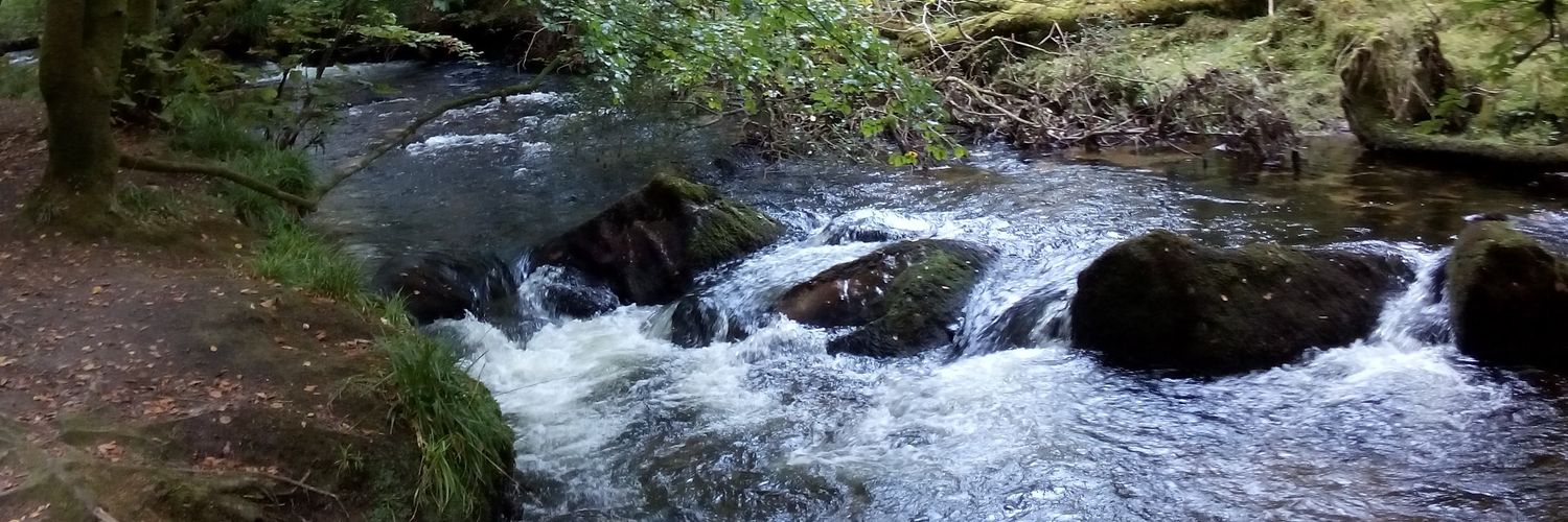 iriareyes banner