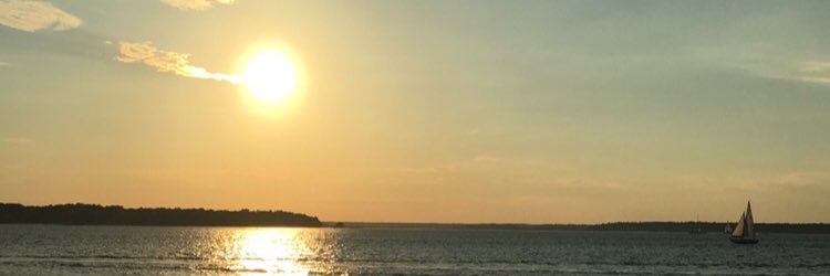 CarlyyCraft's profile banner image