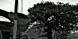 ivettecordobar's profile banner image