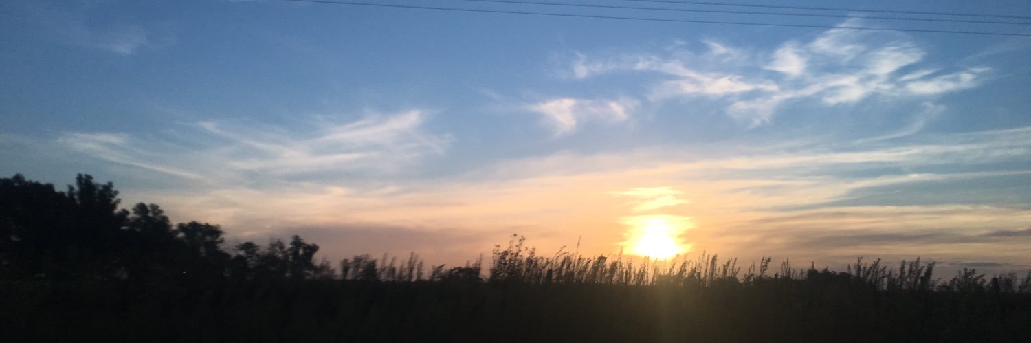 MicaFernandz9's profile banner image