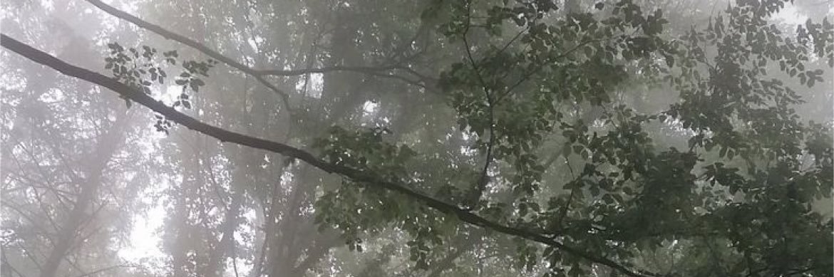 ✮ 𝒹𝑜𝓃 ✮ banner