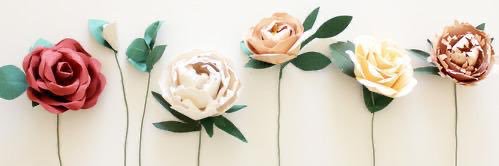 simply_minz's profile banner image