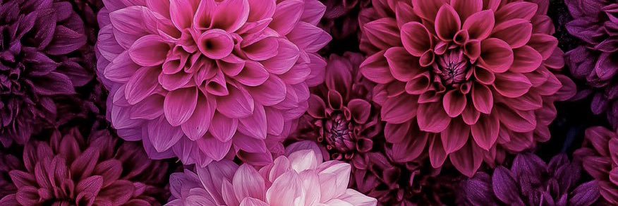 amis4673's profile banner image