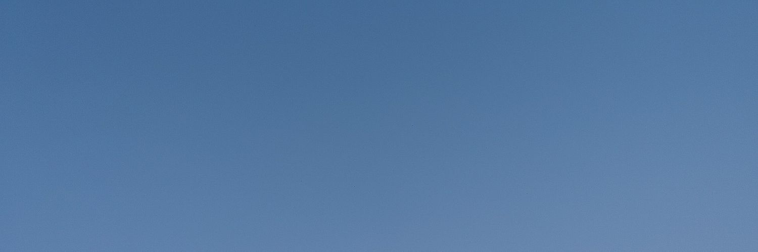 cicada776's profile banner image