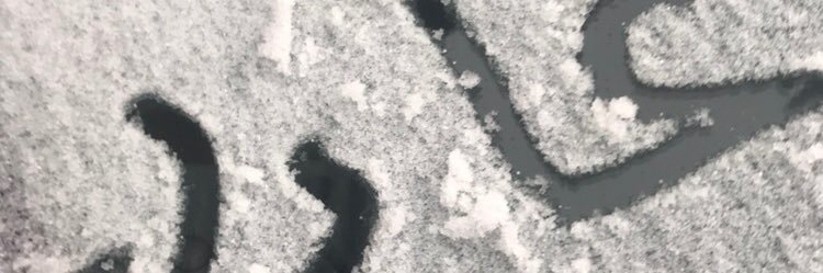 adel1gh's profile banner image