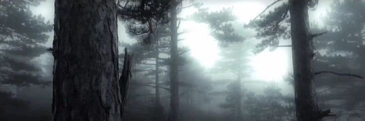 foidful's profile banner image