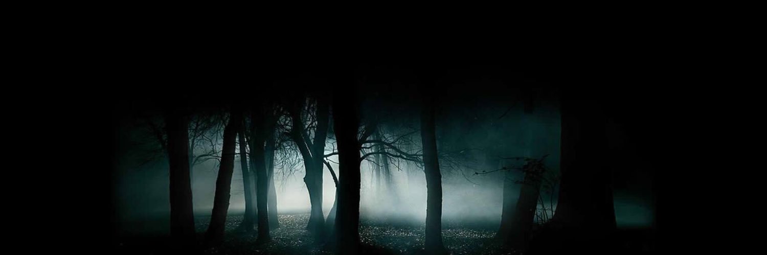 MistyRose616's profile banner image