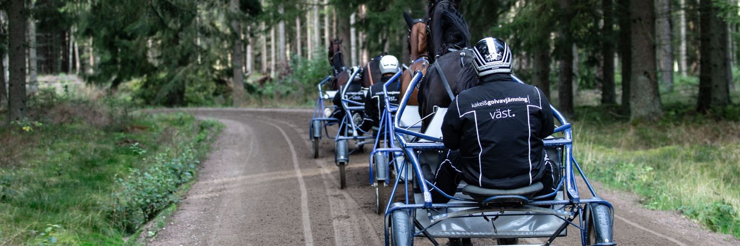 Anders Svanstedt banner