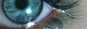 fhah20122012's profile banner image