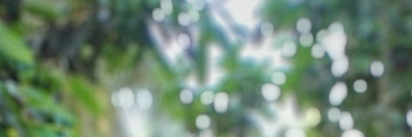 Md Huzzatullah Setu 🍺, 🍺 banner