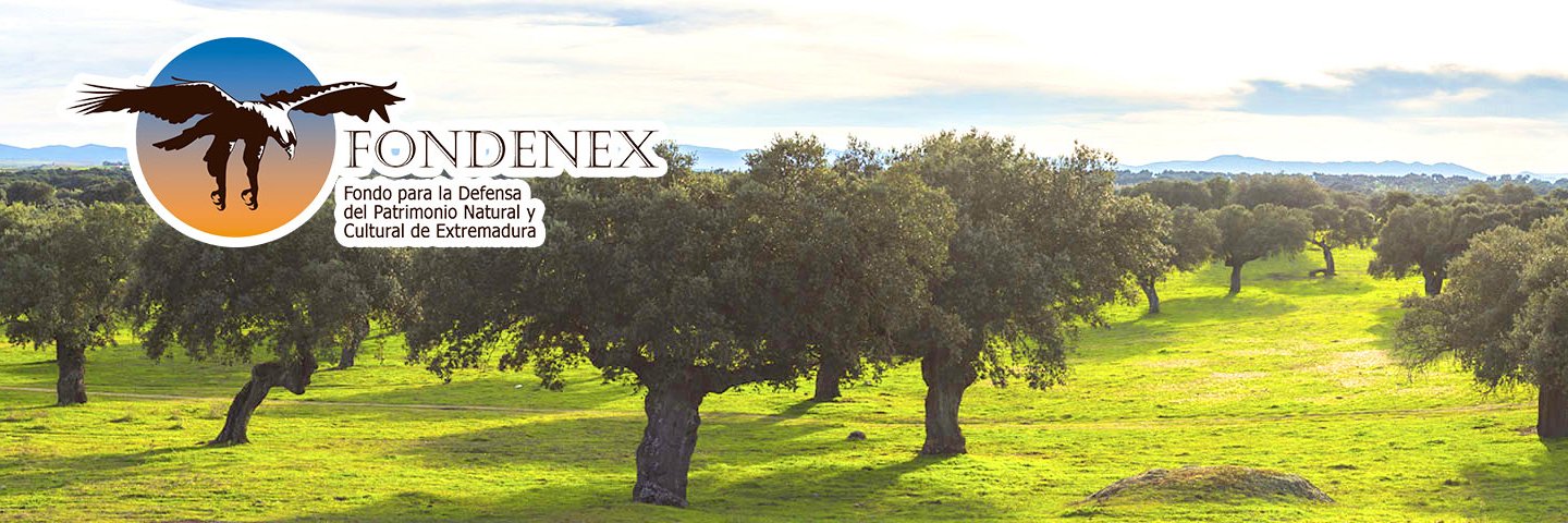 Fondenex banner