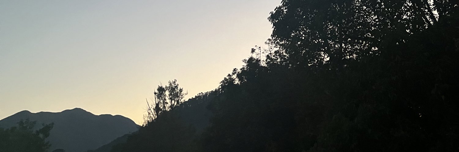 t banner